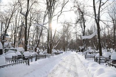 Кража в ритуальном агентстве: что грозит северянке