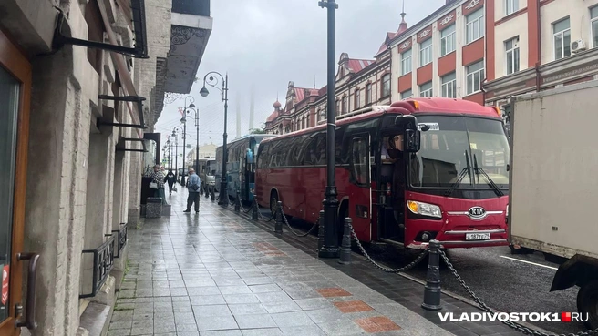 Проблема повторяется каждое лето | Источник: Елена Буйвол / VLADIVOSTOK1.RU