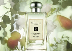 Аромат дня: English Pear & Freesia от Jo Malone