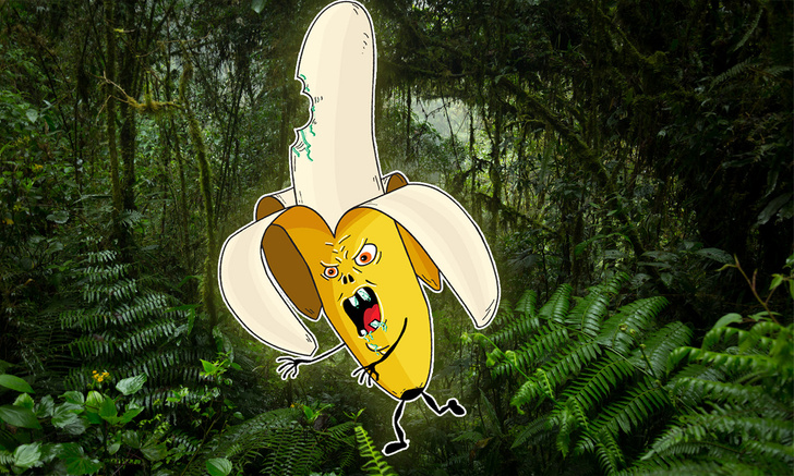 Как выглядит дикий банан в живой природе