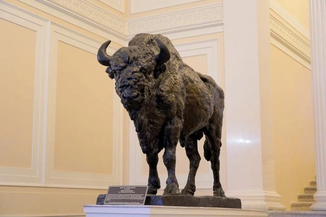 Источник: Администрация Санкт-Петербурга