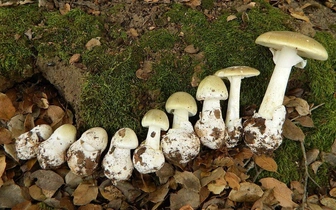 Сможете доказать, что вы умнее 90% людей? Проверим прямо сейчас