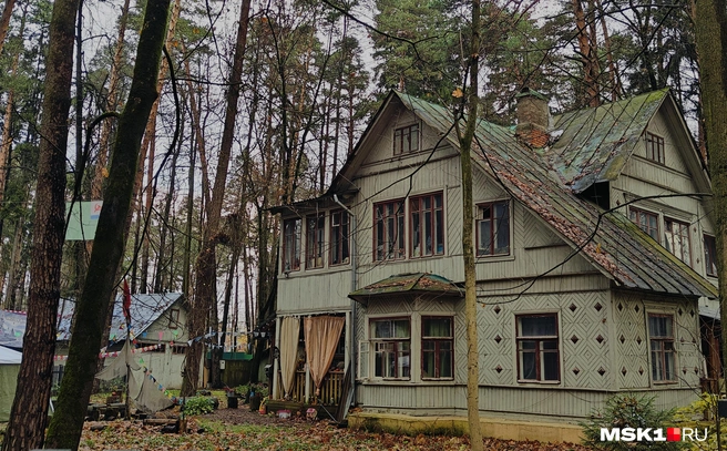 Источник: Полина Баранова / MSK1.RU