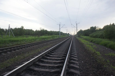 В Архангельской области из-за находки остановили поезд