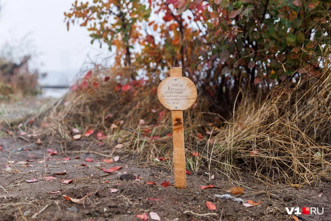 У дороги остались немногочисленные сохранившиеся могилы | Источник: Алексей Волхонский / V1.RU