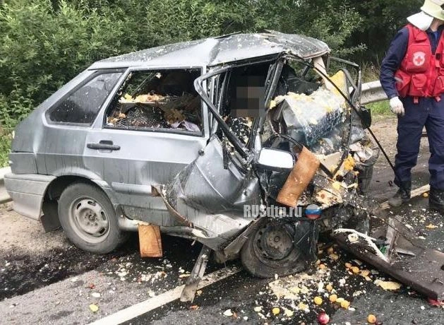 В Подмосковье груженная яблоками легковушка попала под фуру, погибли двое | ya62.ru