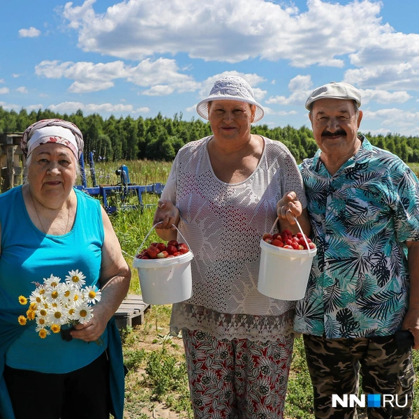 На сбор ягод люди приходят целыми компаниями | Источник: Наталья Бурухина / NN.RU
