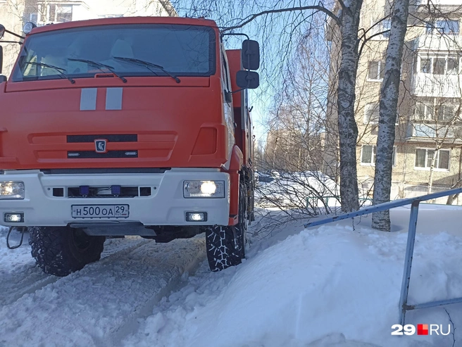 Источник: Иван Митюшёв / 29.RU