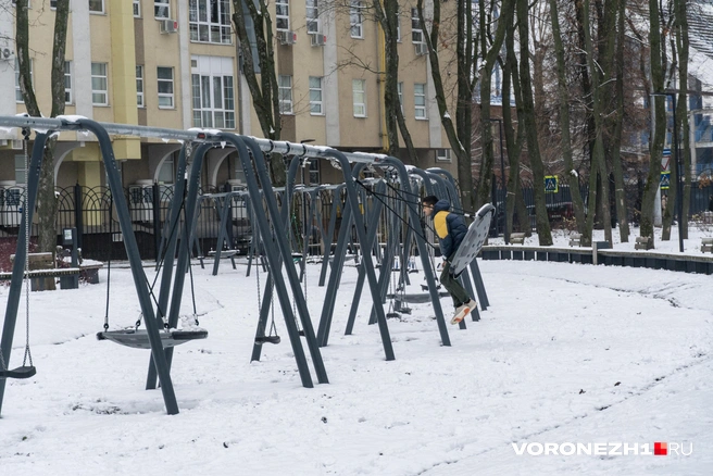 Источник: Дмитрий Волгин / Voronezh1.ru