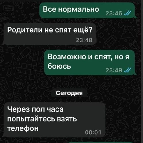 Мошенники просили взять телефон мамы, когда она уснет | Источник: скриншоты переписок предоставлены мамой школьника