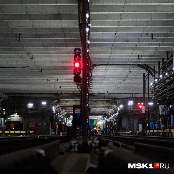 Источник: Дмитрий Толстошеев / MSK1.RU