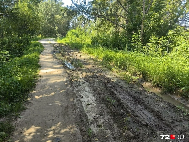 Так выглядит дорога на Береговой. Вода тут не переливается через дамбу  | Источник: Павел Красоткин / 72.RU 