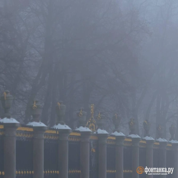 Источник: Дарья Драй / «Фонтанка.ру»