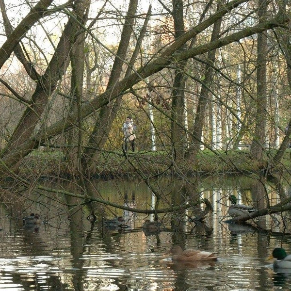 Источник: Павел Глазков / «Каждой твари по паре»