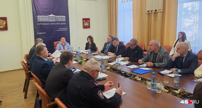 На комитете по социальной политике облдумы развернулась жаркая дискуссия о нехватке медков в регионе | Источник: Дарья Никитченко / 45.RU