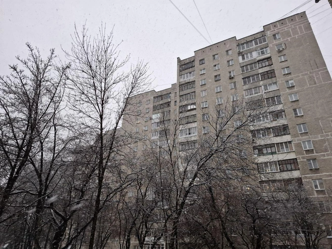 Источник: Елена Аносова / E1.RU