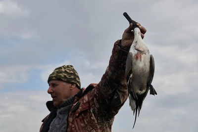 Новосибирские охотники открыли сезон добычи селезня