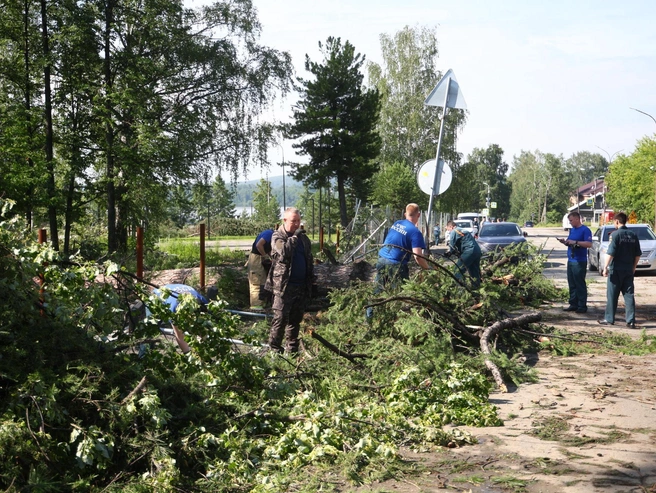 Поваленные деревья убирают по всему городу, ведутся работы по распилу поврежденных стволов. | Источник: Владислав Лоншаков / E1.RU