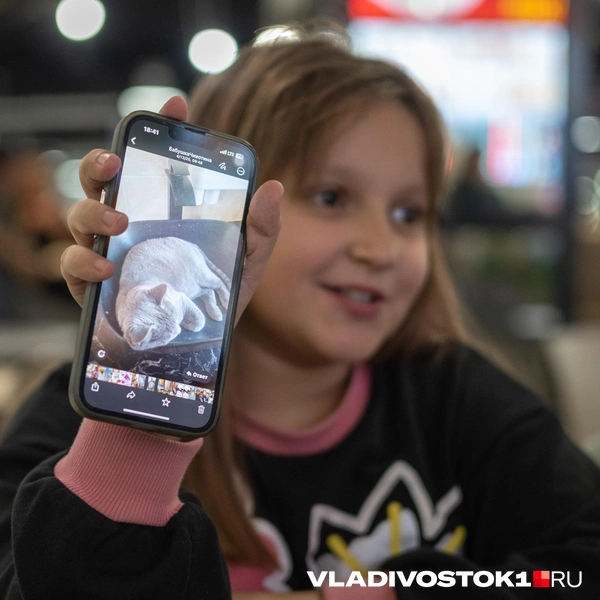Источник: Елена Буйвол / VLADIVOSTOK1.RU