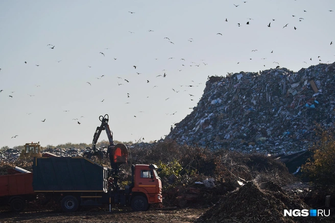 Документацию для полигонов уже разработали | Источник: Александр Ощепков / NGS.RU