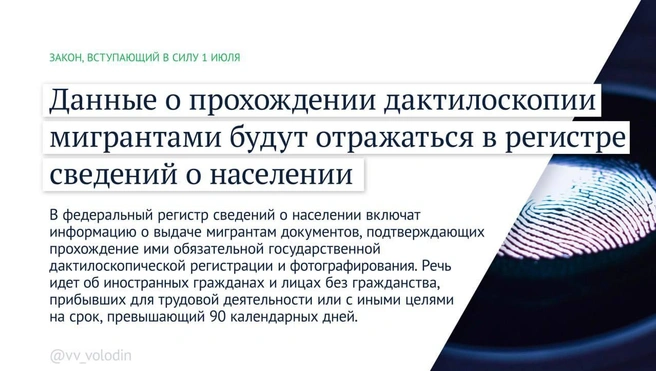 Источник: Вячеслав Володин / Telegram