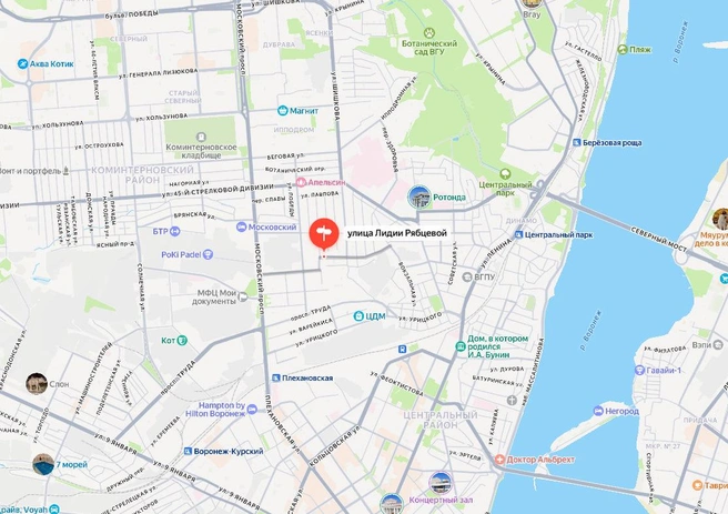 Улица Лидии Рябцевой на карте Воронежа | Источник: «Яндекс Карты» / yandex.ru/maps