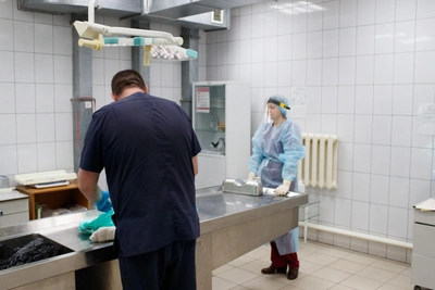 Дело о трупах из Александровской больницы и обучении танатопрактиков