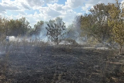 Пожар в поселке под Самарой: сгорели дачи и трава