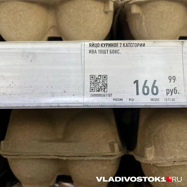 Источник: Елена Буйвол / VLADIVOSTOK1.RU