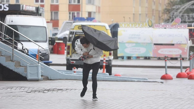 Типично осенняя погода ждет петербуржцев в субботу | Источник: Сергей Михайличенко / «Фонтанка.ру»