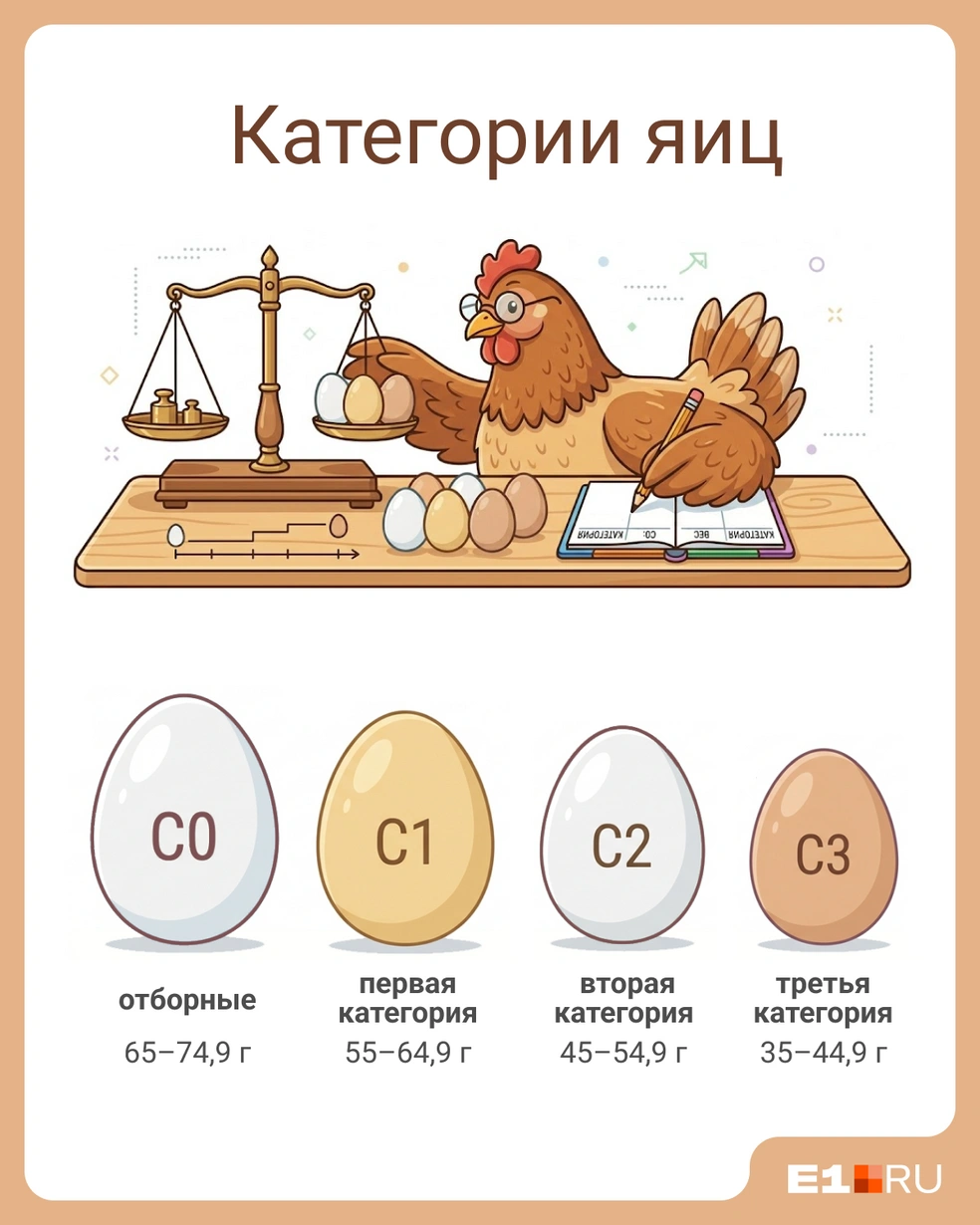 Теперь вы знаете, сколько должны весить яйца по категориям | Источник: Юрий Орлов / E1.RU
