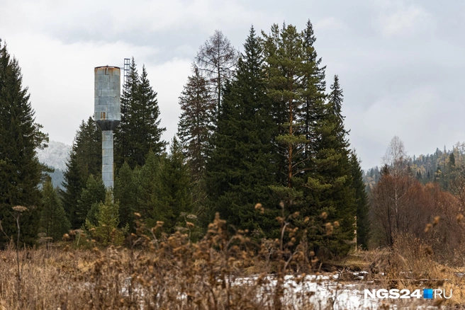 Заброшенная башня | Источник: Мария Ленц / NGS24.RU