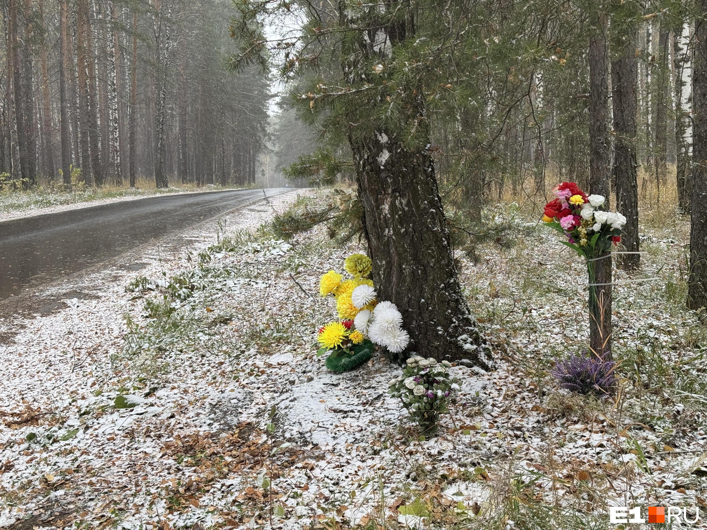 «Ни стыда, ни совести». На Урале сын бизнесмена, насмерть сбивший школьницу, попросил выпустить его из-за решетки