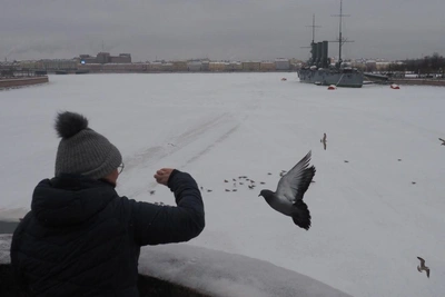 Циклон определяет погоду в Петербурге и Москве