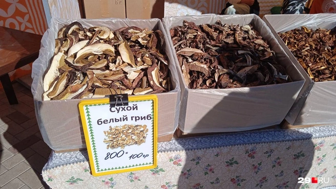 Источник: Юрий Скородумов / 29.RU