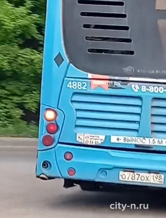 Источник: www.city-n.ru