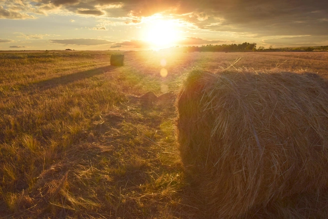 Закат в широких лугах поражает своей красотой | Источник: Олег Рыбалко