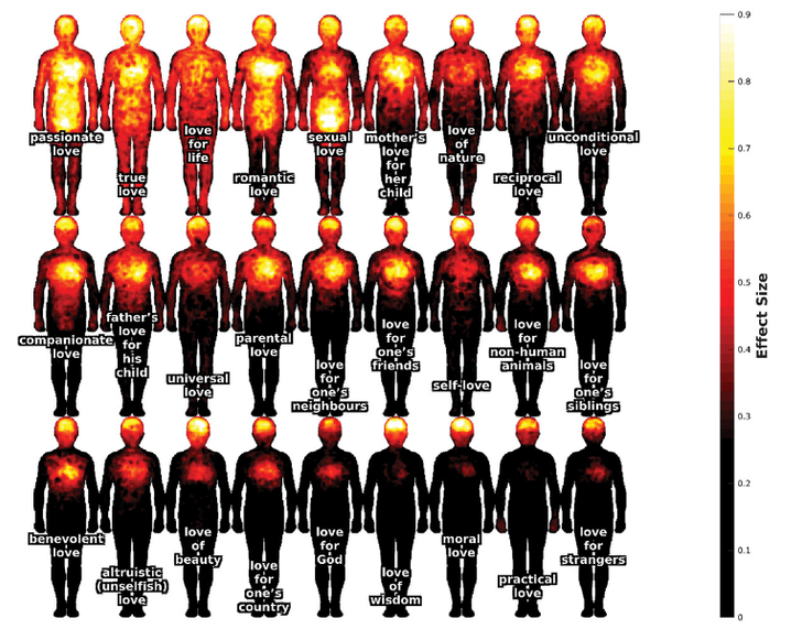 Посмотрите, где прячется ваша: ученые составили телесную карту 27 типов любви