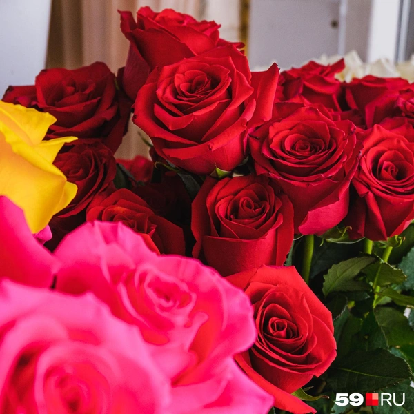 Источник: Тимофей Калмаков / 59.RU