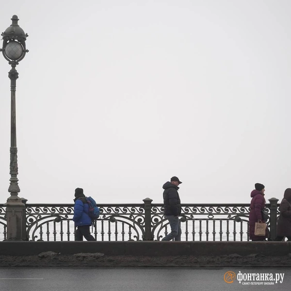 Источник:  Павел Даиси / «Фонтанка.ру