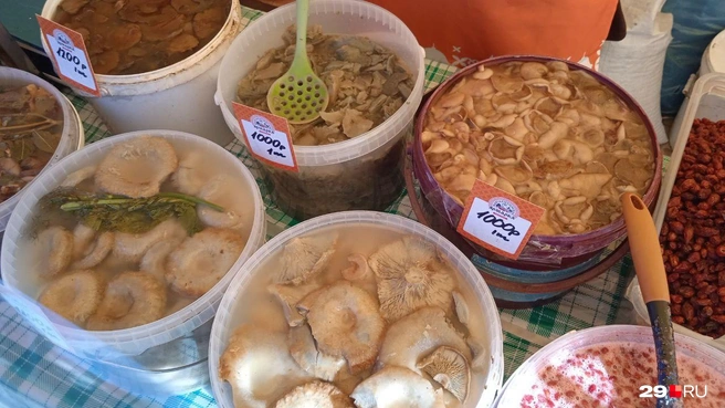 Источник: Юрий Скородумов / 29.RU