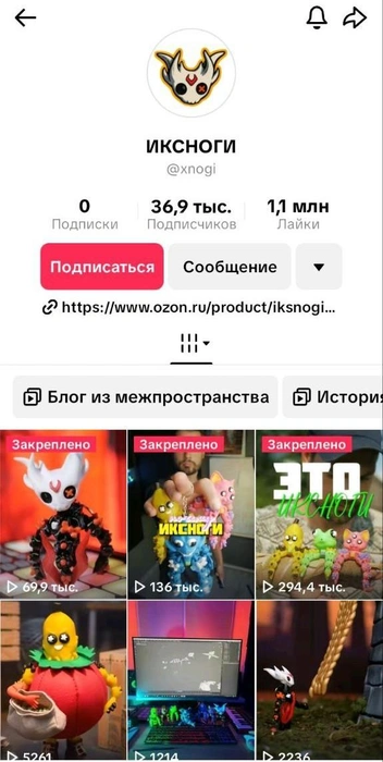 В TikTok-аккаунте Ильи бурлит жизнь | Источник: «Иксноги» / TikTok
