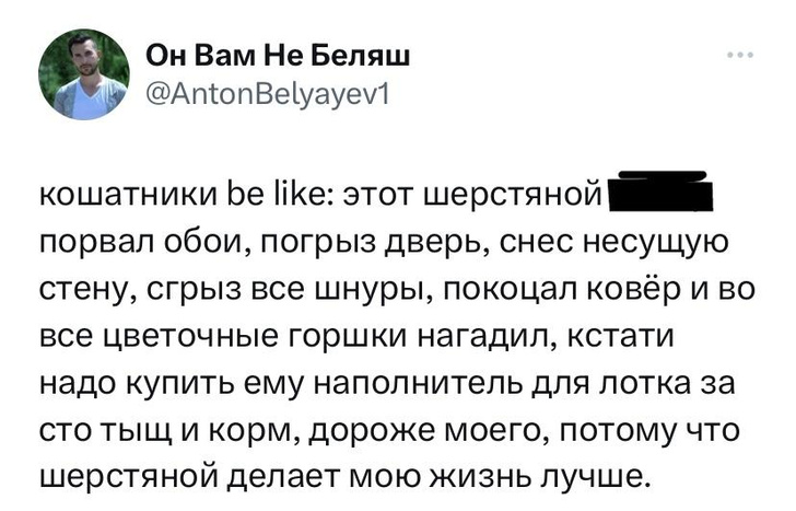 Шутки вторника и Стейсислав