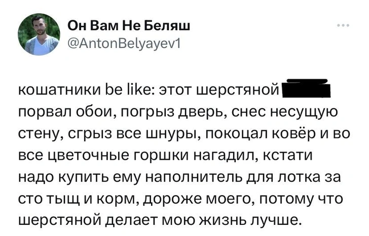 Шутки вторника и Стейсислав