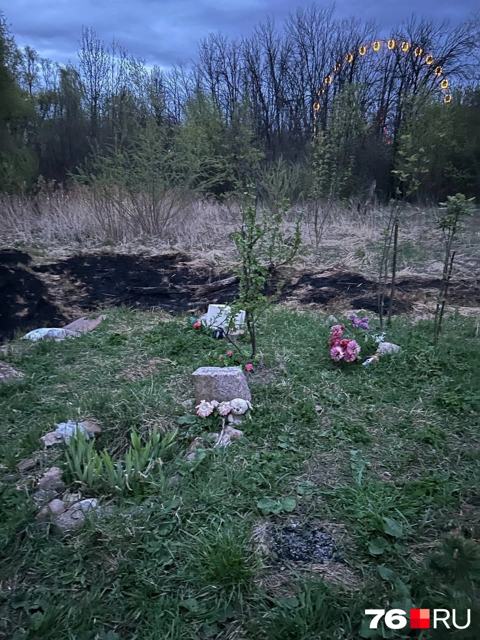 В лесополосе у Толбухинского моста в Ярославле&nbsp;— незаконное кладбище домашних животных | Источник: Екатерина Тарыгина / 76.RU