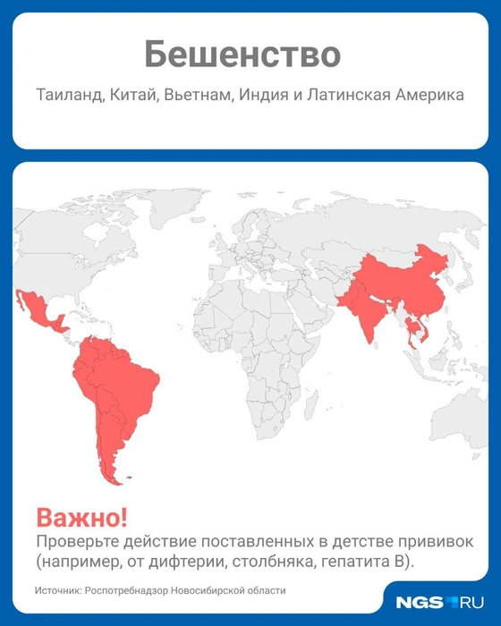Возбудитель бешенства может находиться в слюне больного животного за 10 дней до появления видимых признаков заболевания | Источник: Юрий Орлов / Городские медиа