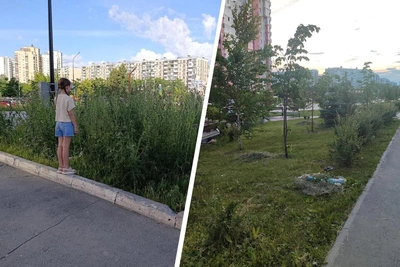 В сквере «Академ Riverside» скосили сорняки, но траву не убрали