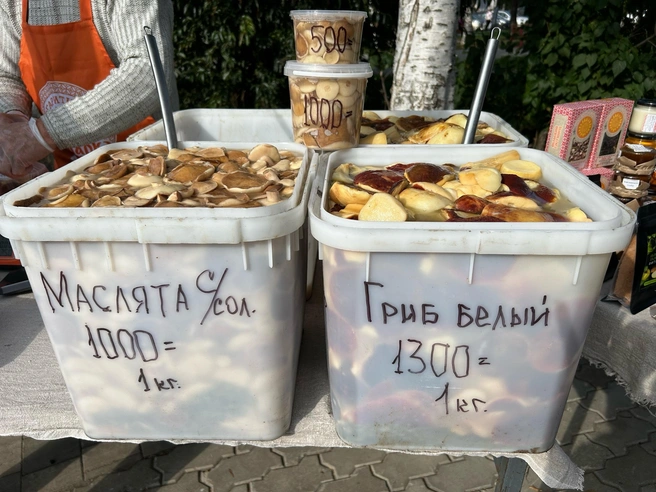 Грибы здесь — соленые | Источник: Кристина Полевая / 29.RU