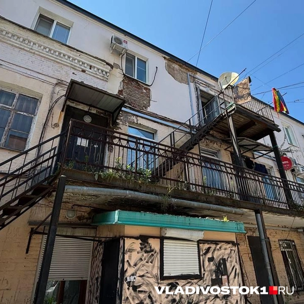 Источник: Елена Буйвол / VLADIVOSTOK1.RU