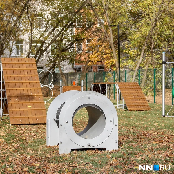 Здесь есть площадка для выгула собак | Источник: Наталья Бурухина / NN.RU